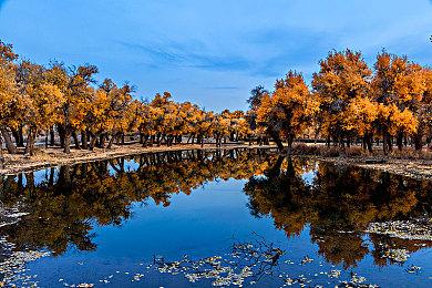 《幻想生活i》将作为Switch2首发强化版登场 升级费用比《塞尔达》便宜